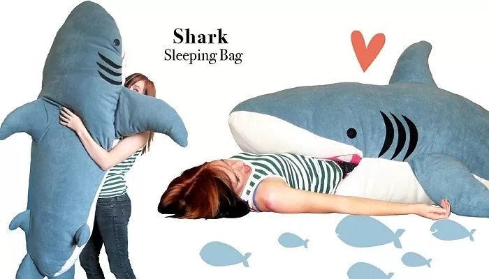 https://cuuxyhbockitmnhytwax.supabase.co/storage/v1/object/public/chamchijs/images/anchor/2942/00b8ae2a-3d3c-4a7f-96a3-d26b53cb3961.jpg