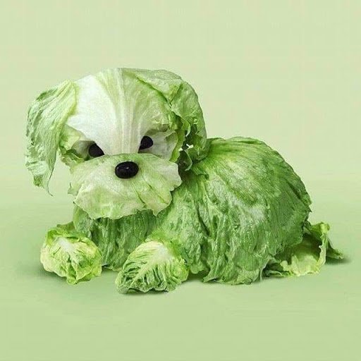https://cuuxyhbockitmnhytwax.supabase.co/storage/v1/object/public/chamchijs/images/anchor/347/d55599a4-a428-4ffc-a0d9-986aa78a5a43.jpg