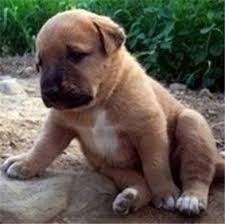 https://cuuxyhbockitmnhytwax.supabase.co/storage/v1/object/public/chamchijs/images/anchor/534/8bc07c54-e9f6-4c21-b3e9-5cd1e5b7f204.jpg