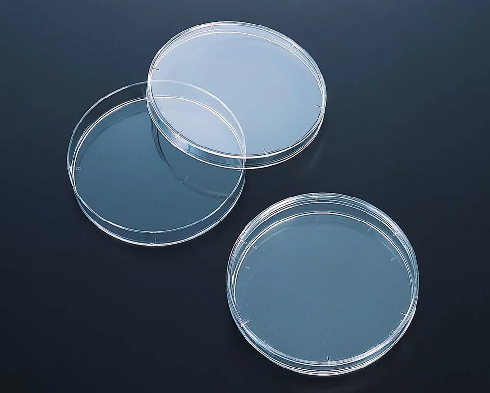 https://cuuxyhbockitmnhytwax.supabase.co/storage/v1/object/public/chamchijs/images/anchor/783/16f76078-9778-460a-a4f8-f30f5f5d110d.webp