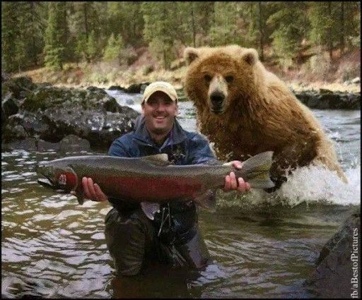 https://cuuxyhbockitmnhytwax.supabase.co/storage/v1/object/public/chamchijs/images/anctalk/1628/23618e4b-719e-4856-8ace-cee9fa0da918.jpg