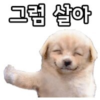 https://cuuxyhbockitmnhytwax.supabase.co/storage/v1/object/public/chamchijs/images/anctalk/1733/932b88c2-2546-4e4a-a94e-269971044c43.jpg
