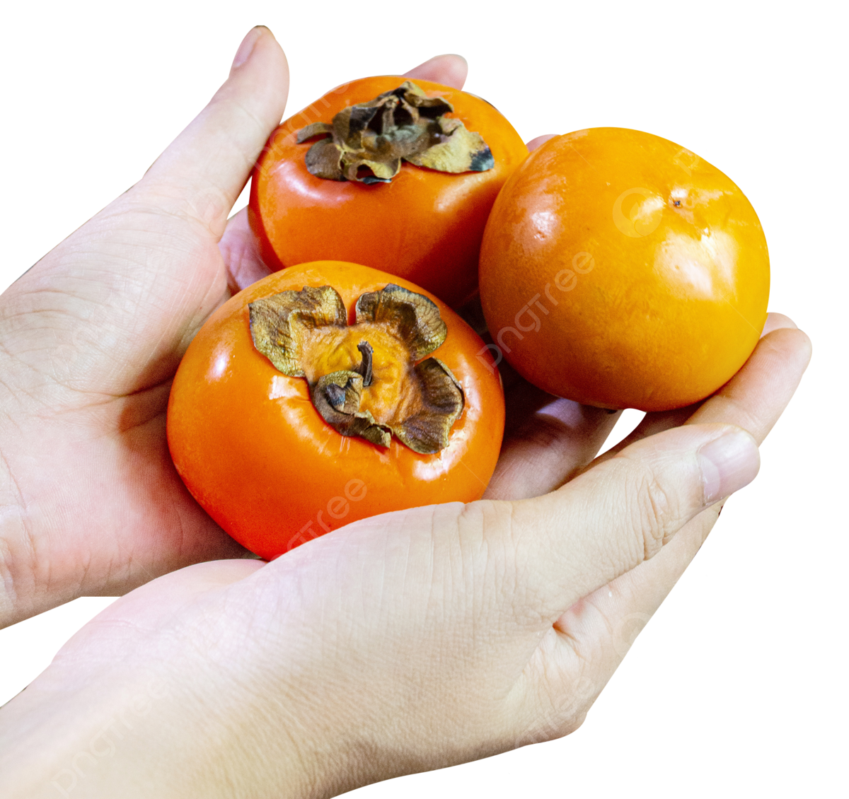 https://cuuxyhbockitmnhytwax.supabase.co/storage/v1/object/public/chamchijs/images/anctalk/1780/7d5d3812-d2fb-4e0a-a040-834cac152dd5.png
