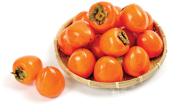 https://cuuxyhbockitmnhytwax.supabase.co/storage/v1/object/public/chamchijs/images/anctalk/1951/37d93611-84a1-438d-815f-41279f3e4b79.jpg