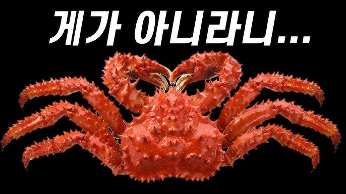 https://cuuxyhbockitmnhytwax.supabase.co/storage/v1/object/public/chamchijs/images/anctalk/2046/e8408b17-07ef-41c8-b935-e2d7c8aa7618.jpg