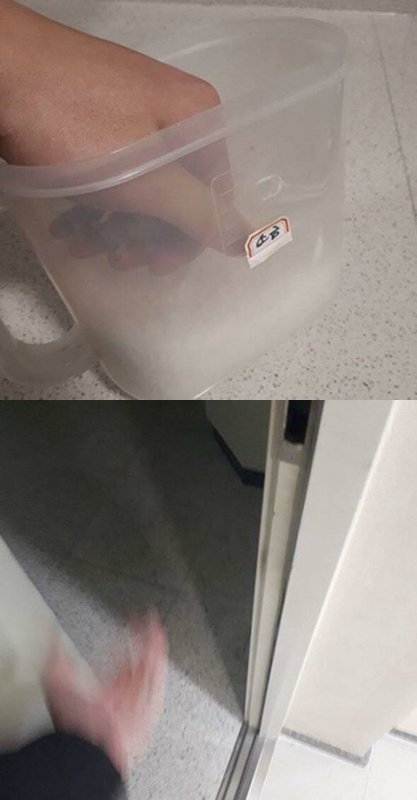 https://cuuxyhbockitmnhytwax.supabase.co/storage/v1/object/public/chamchijs/images/anctalk/2055/14ad59a0-07bd-46ff-bb2d-29b01e9f0e1b.jpg