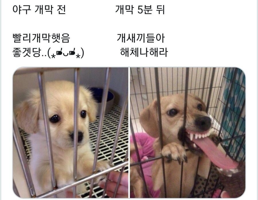 https://cuuxyhbockitmnhytwax.supabase.co/storage/v1/object/public/chamchijs/images/anctalk/2235/3a7cade5-abcb-4ced-a65e-da4bb587cc1a.jpg