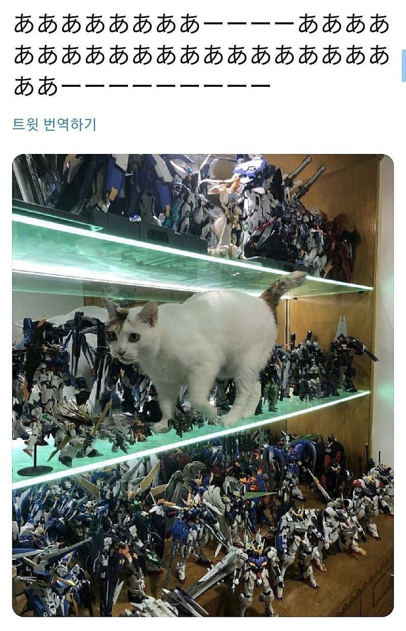 https://cuuxyhbockitmnhytwax.supabase.co/storage/v1/object/public/chamchijs/images/anctalk/2276/93201173-8291-47ae-8eb9-19cfaed4fb7c.jpg