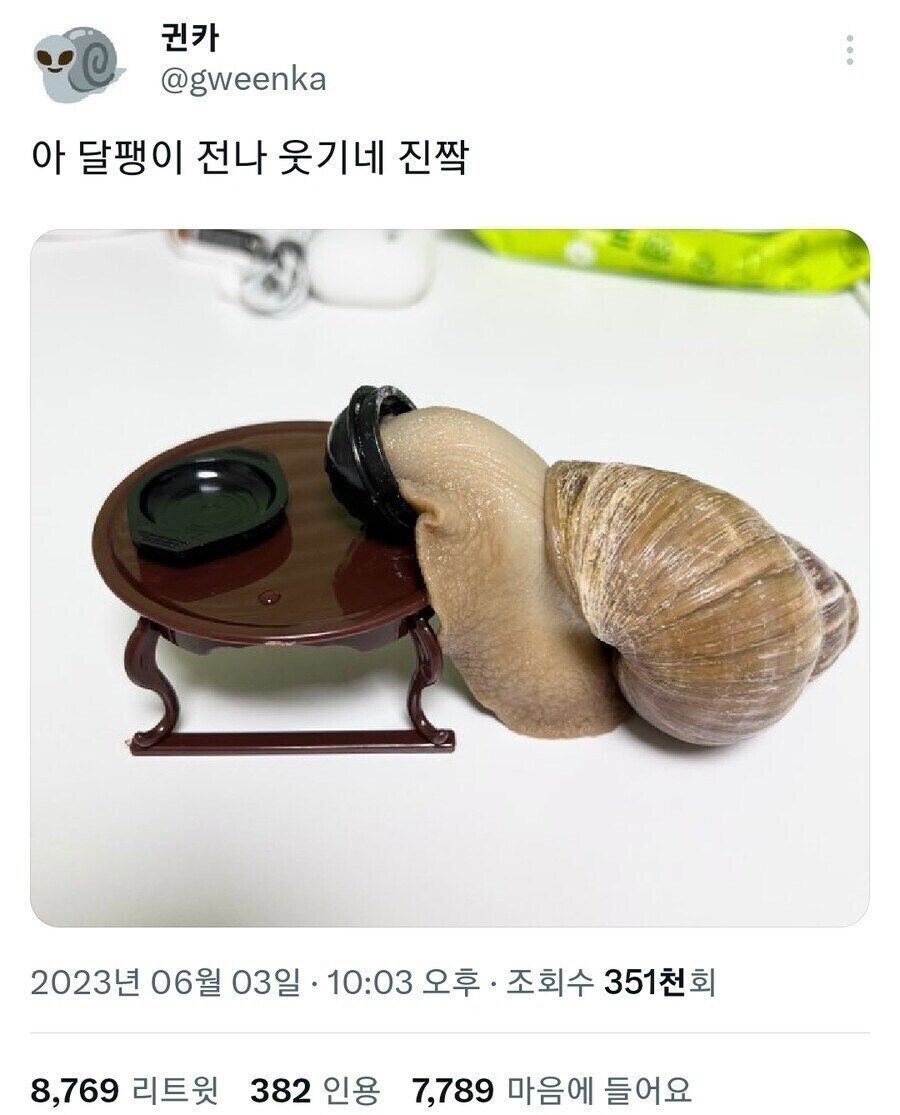 https://cuuxyhbockitmnhytwax.supabase.co/storage/v1/object/public/chamchijs/images/anctalk/2337/5b61aa3b-7ead-4757-ba6c-bcada41f9fa9.jpg