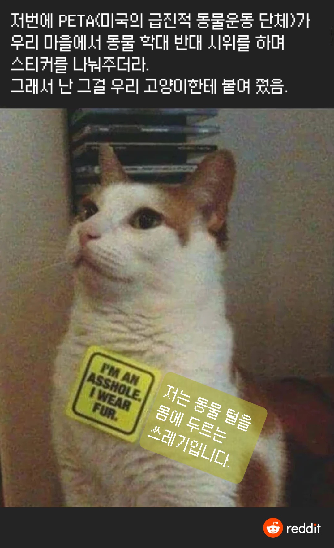 https://cuuxyhbockitmnhytwax.supabase.co/storage/v1/object/public/chamchijs/images/anctalk/2435/e8f4eee1-d434-47aa-be0b-100b05c7fdc3.jpg