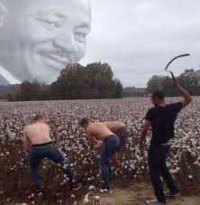 https://cuuxyhbockitmnhytwax.supabase.co/storage/v1/object/public/chamchijs/images/anctalk/2552/f2c8216a-9743-422f-ab82-2629cf5af9f8.jpg