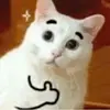 https://cuuxyhbockitmnhytwax.supabase.co/storage/v1/object/public/chamchijs/images/anctalk/2552/f72c765e-3ce1-4468-876f-188d84f82a0a.png