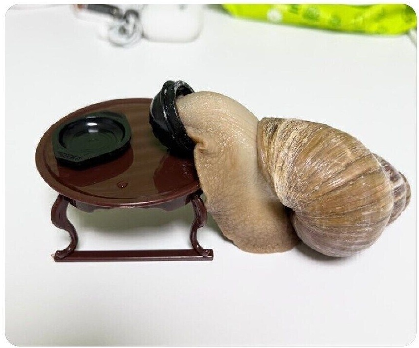 https://cuuxyhbockitmnhytwax.supabase.co/storage/v1/object/public/chamchijs/images/anctalk/2638/df1ecb3c-c90e-4ec9-b589-ac58c8800778.jpg