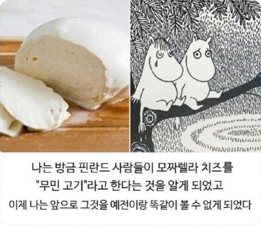 https://cuuxyhbockitmnhytwax.supabase.co/storage/v1/object/public/chamchijs/images/anctalk/2667/11e1daad-a345-46cd-9ef0-1d48efd737c5.jpg