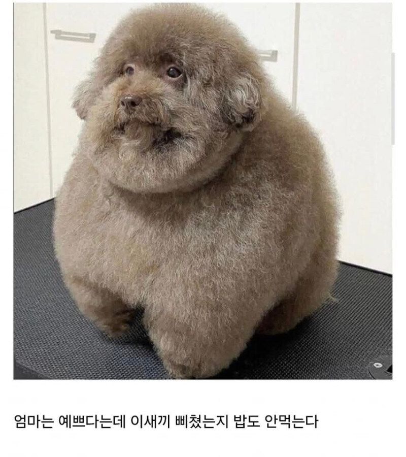 https://cuuxyhbockitmnhytwax.supabase.co/storage/v1/object/public/chamchijs/images/anctalk/2667/7c9d2e69-fe39-459b-b862-9d70e32a8a97.jpg