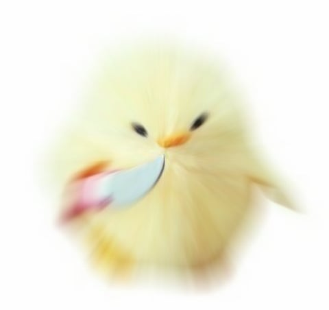 https://cuuxyhbockitmnhytwax.supabase.co/storage/v1/object/public/chamchijs/images/anctalk/2962/cffe9c3a-e09e-42dd-9d0b-7c11fc26da63.jpg