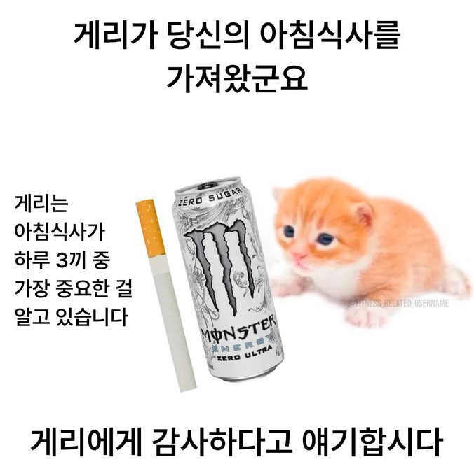 https://cuuxyhbockitmnhytwax.supabase.co/storage/v1/object/public/chamchijs/images/anctalk/3072/e7a36996-3adc-4b9c-8f0b-75ebd0ae15f2.jpg