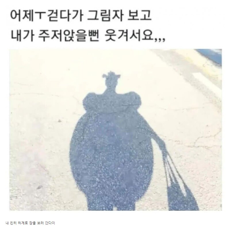 https://cuuxyhbockitmnhytwax.supabase.co/storage/v1/object/public/chamchijs/images/anctalk/3199/9e2891c7-4a00-4c0b-bf9c-0068d6302732.png