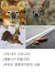 https://cuuxyhbockitmnhytwax.supabase.co/storage/v1/object/public/chamchijs/images/anctalk/3199/e1edf38c-39e9-4d7a-9c61-5395b6417832.jpeg
