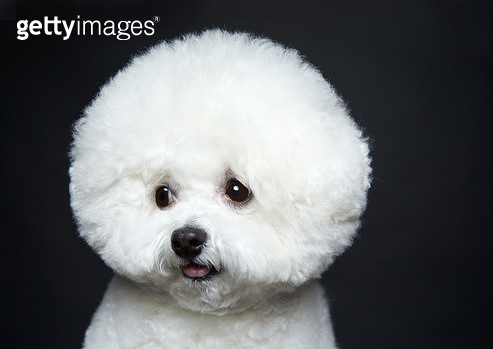 https://cuuxyhbockitmnhytwax.supabase.co/storage/v1/object/public/chamchijs/images/anctalk/3243/97320c90-74ab-4b5e-9169-1330f8e4b8d2.jpg