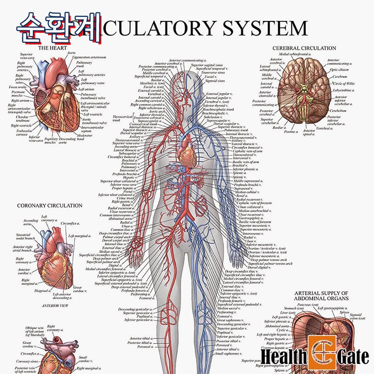 https://cuuxyhbockitmnhytwax.supabase.co/storage/v1/object/public/chamchijs/images/anctalk/3296/91dc85af-1120-4888-af74-c6096fd2ba16.jpg