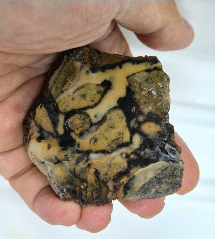https://cuuxyhbockitmnhytwax.supabase.co/storage/v1/object/public/chamchijs/images/anctalk/3306/b0498374-0b80-4535-95e6-f82d6cbc4bec.jpg