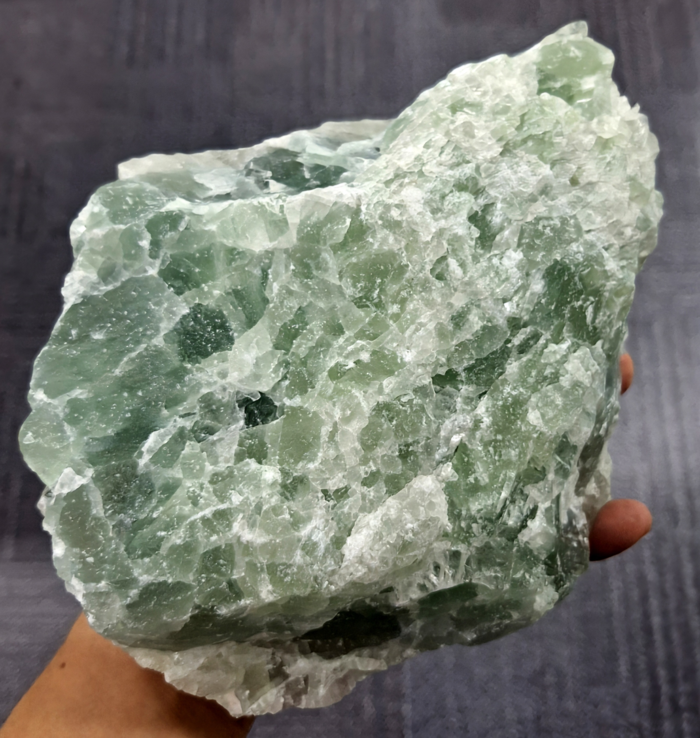 https://cuuxyhbockitmnhytwax.supabase.co/storage/v1/object/public/chamchijs/images/anctalk/3377/f05e79d6-4d10-45fc-875d-31718eac41d1.jpg