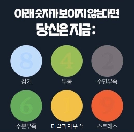 https://cuuxyhbockitmnhytwax.supabase.co/storage/v1/object/public/chamchijs/images/anctalk/3830/9274b925-1708-4931-b2f0-f16e054134c2.jpg