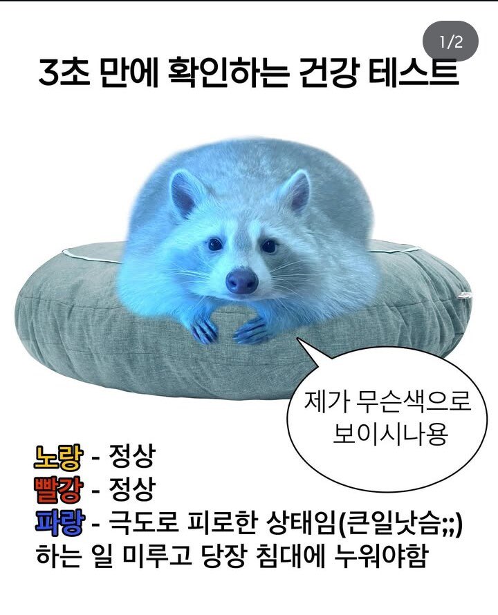 https://cuuxyhbockitmnhytwax.supabase.co/storage/v1/object/public/chamchijs/images/anctalk/3835/604da10f-de82-48b2-a0e5-757acff9ad0e.jpg