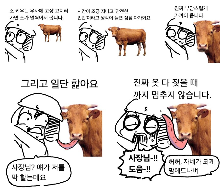 https://cuuxyhbockitmnhytwax.supabase.co/storage/v1/object/public/chamchijs/images/anctalk/3966/22074d65-bd83-46d3-9400-6e8d53b53c83.jpg