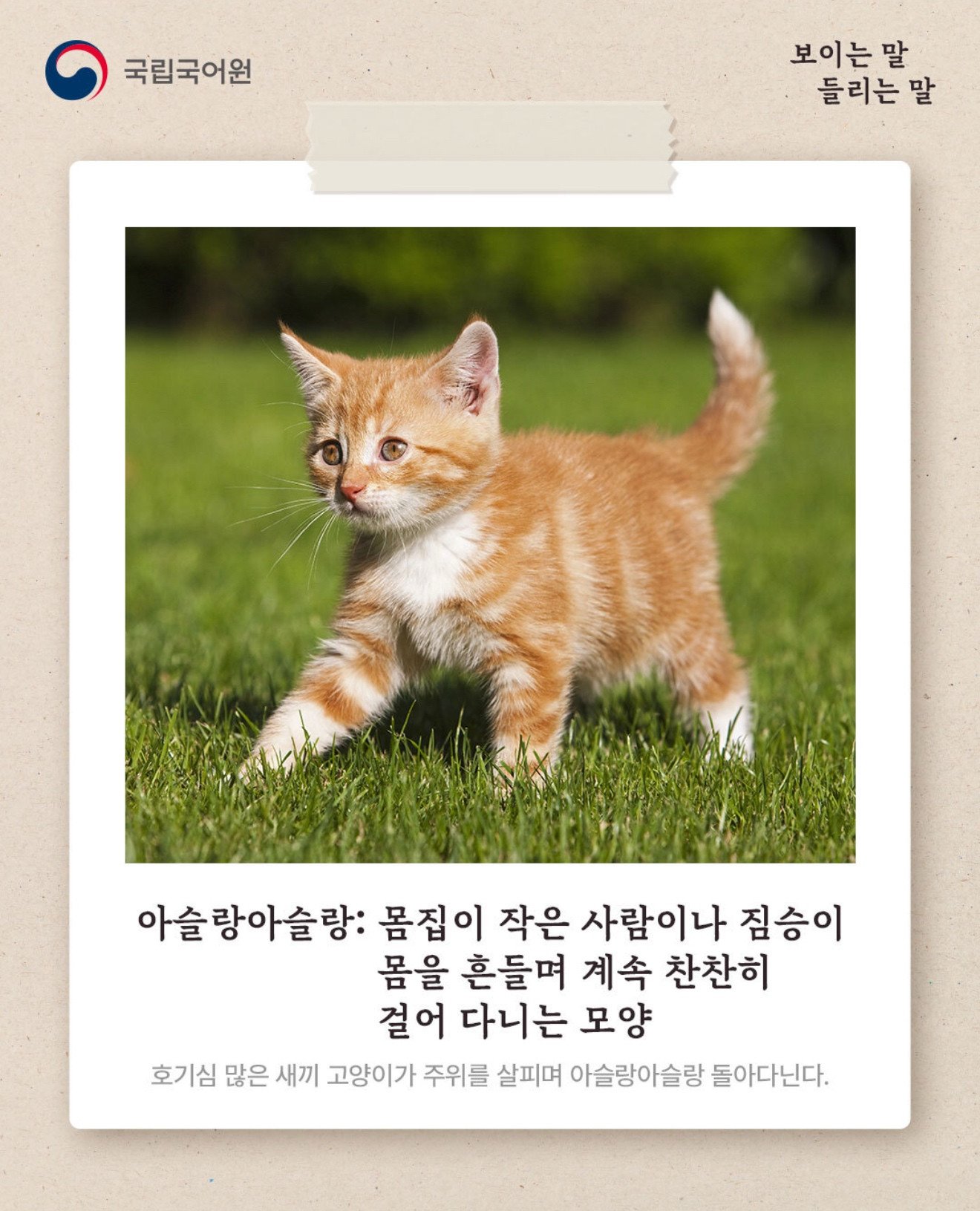 https://cuuxyhbockitmnhytwax.supabase.co/storage/v1/object/public/chamchijs/images/anctalk/4102/ef5b89f8-a8af-4499-8813-5718f1912797.jpg