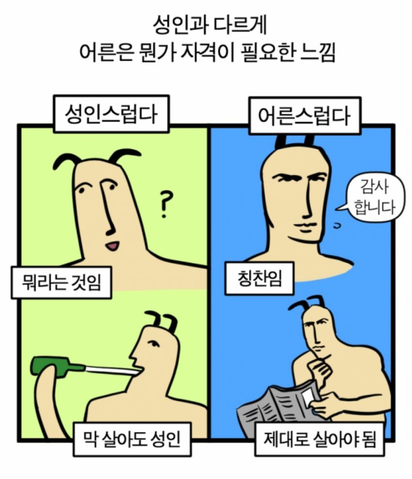 https://cuuxyhbockitmnhytwax.supabase.co/storage/v1/object/public/chamchijs/images/anctalk/4635/8ed30064-294b-42f0-a52e-75ab01eea966.jpeg