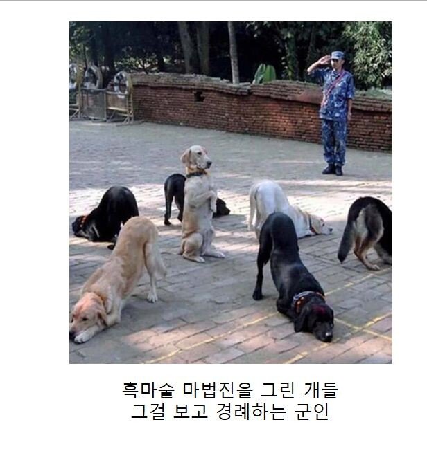 https://cuuxyhbockitmnhytwax.supabase.co/storage/v1/object/public/chamchijs/images/anctalk/4678/22b7fff8-f4c8-4453-9c90-eb3e07e4c5ae.jpg