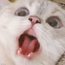 https://cuuxyhbockitmnhytwax.supabase.co/storage/v1/object/public/chamchijs/images/situplay/2635/03c7d8b6-1e14-49c4-8c1d-58187a49cf0a.jpeg
