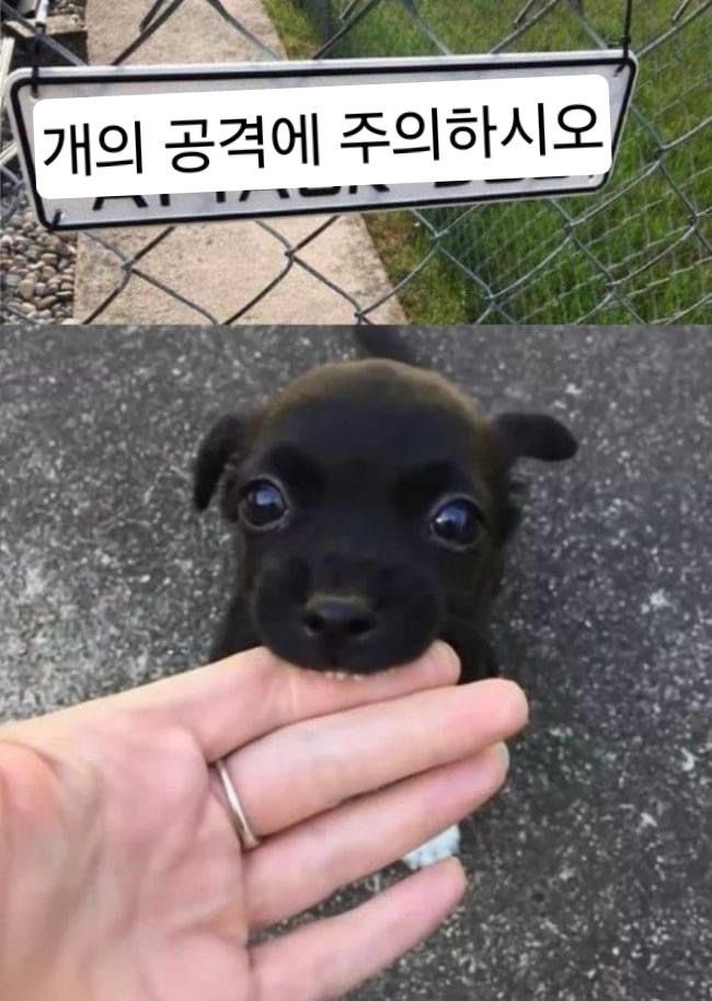 https://cuuxyhbockitmnhytwax.supabase.co/storage/v1/object/public/chamchijs/images/situplay/3646/31b021e6-bd4d-4d90-ada0-3a24a432be9b.jpg