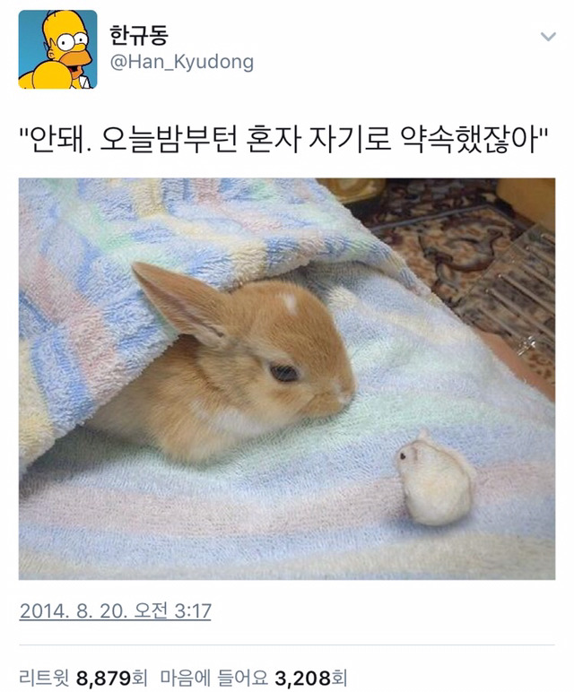 https://cuuxyhbockitmnhytwax.supabase.co/storage/v1/object/public/chamchijs/images/situplay/4137/fb147442-5dcb-4f6f-ad66-d620d7b880b7.jpg