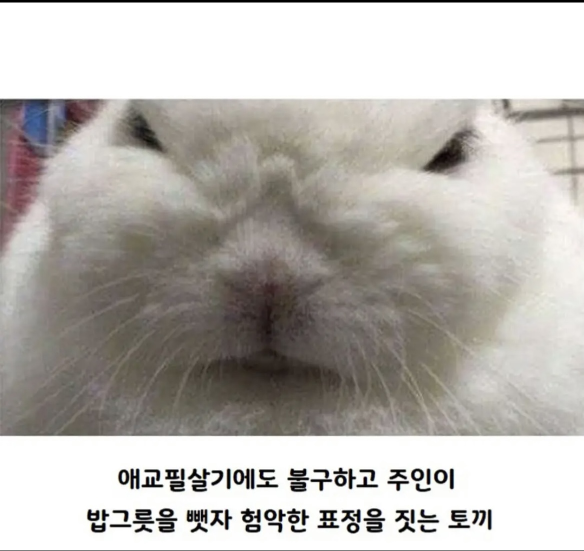 https://cuuxyhbockitmnhytwax.supabase.co/storage/v1/object/public/chamchijs/images/situplay/4213/24a59298-448f-41fc-8db3-9acaeacad7e1.jpeg