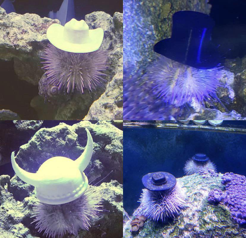 https://cuuxyhbockitmnhytwax.supabase.co/storage/v1/object/public/chamchijs/images/situplay/4282/0faa6d4e-0b36-4127-8c78-5842c3aecf87.jpg