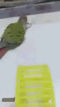 https://cuuxyhbockitmnhytwax.supabase.co/storage/v1/object/public/chamchijs/images/situplay/4409/2a56b485-dacf-4118-8618-981104df04b2.gif