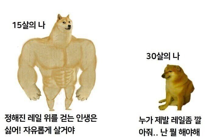 https://cuuxyhbockitmnhytwax.supabase.co/storage/v1/object/public/chamchijs/images/situplay/545/1093d7b8-fd6f-48dd-b1dc-b60455260748.jpg